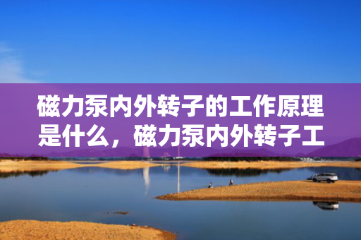 磁力泵内外转子的工作原理是什么，磁力泵内外转子工作原理简述