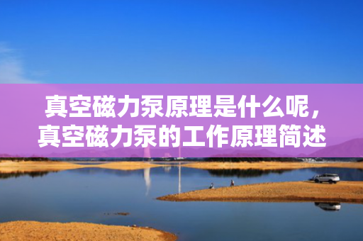 真空磁力泵原理是什么呢，真空磁力泵的工作原理简述