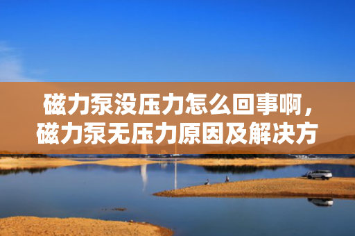 磁力泵没压力怎么回事啊，磁力泵无压力原因及解决方法