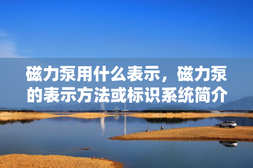 磁力泵用什么表示，磁力泵的表示方法或标识系统简介
