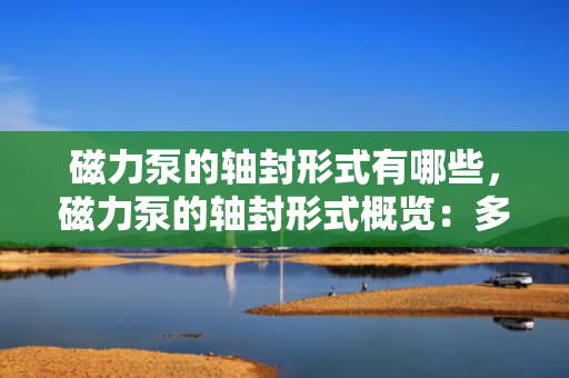 磁力泵的轴封形式有哪些，磁力泵的轴封形式概览：多种选择满足不同需求