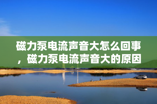 磁力泵电流声音大怎么回事，磁力泵电流声音大的原因及解决方法