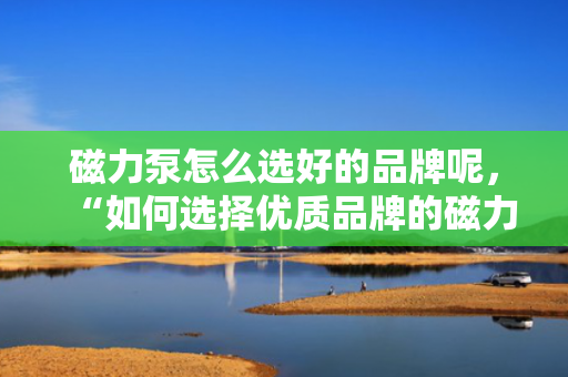 磁力泵怎么选好的品牌呢，“如何选择优质品牌的磁力泵：关键步骤与指南”