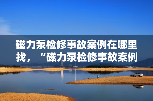 磁力泵检修事故案例在哪里找，“磁力泵检修事故案例分析及查找途径”