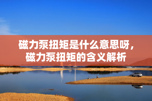 磁力泵扭矩是什么意思呀，磁力泵扭矩的含义解析