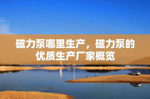 磁力泵哪里生产，磁力泵的优质生产厂家概览