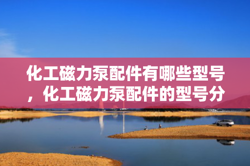 化工磁力泵配件有哪些型号，化工磁力泵配件的型号分类概览