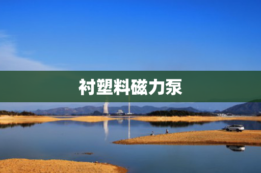 衬塑料磁力泵