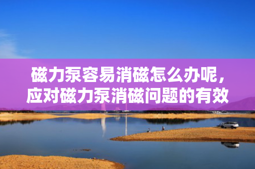 磁力泵容易消磁怎么办呢，应对磁力泵消磁问题的有效策略