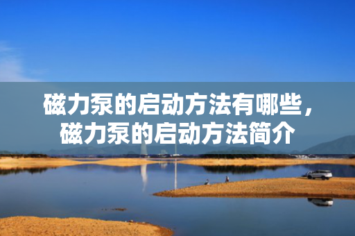 磁力泵的启动方法有哪些，磁力泵的启动方法简介
