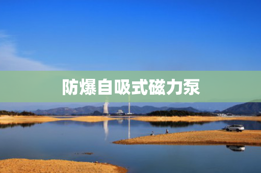 防爆自吸式磁力泵