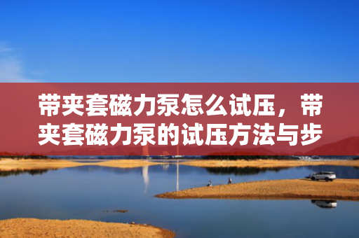 带夹套磁力泵怎么试压，带夹套磁力泵的试压方法与步骤解析