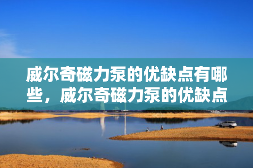 威尔奇磁力泵的优缺点有哪些，威尔奇磁力泵的优缺点解析