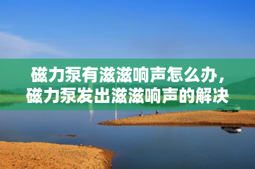 磁力泵有滋滋响声怎么办，磁力泵发出滋滋响声的解决方法