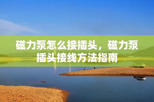 磁力泵怎么接插头，磁力泵插头接线方法指南