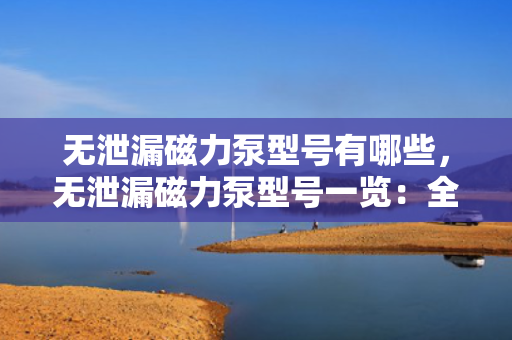 无泄漏磁力泵型号有哪些，无泄漏磁力泵型号一览：全面解析各类磁力泵型号特点
