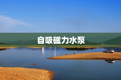 自吸磁力水泵