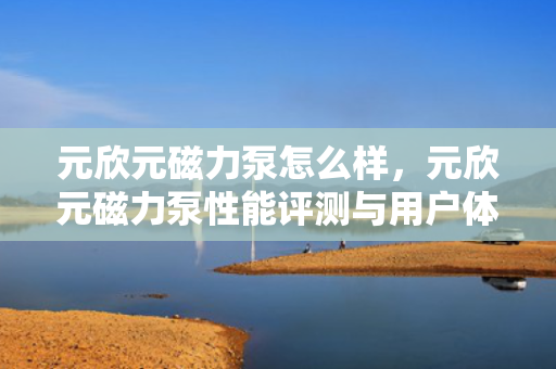 元欣元磁力泵怎么样，元欣元磁力泵性能评测与用户体验