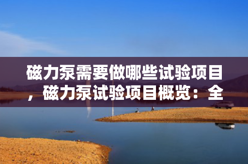 磁力泵需要做哪些试验项目，磁力泵试验项目概览：全面检测确保性能与安全