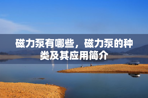 磁力泵有哪些，磁力泵的种类及其应用简介