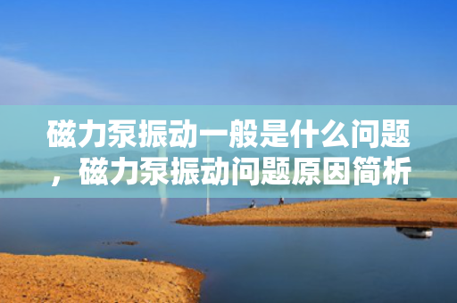 磁力泵振动一般是什么问题，磁力泵振动问题原因简析