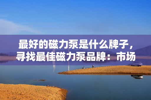 最好的磁力泵是什么牌子，寻找最佳磁力泵品牌：市场顶级选择一览