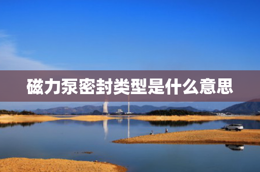 磁力泵密封类型是什么意思