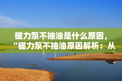 磁力泵不抽油是什么原因，“磁力泵不抽油原因解析：从油品、进气口到泵体和磁力的全方位排查”