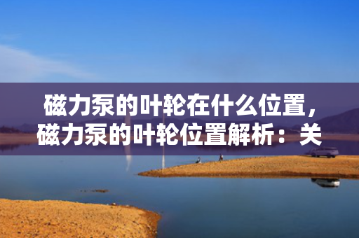 磁力泵的叶轮在什么位置，磁力泵的叶轮位置解析：关键部件在何处？