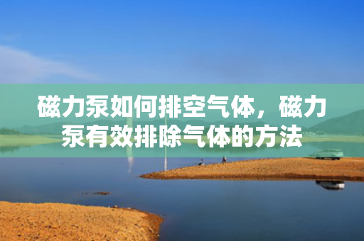 磁力泵如何排空气体，磁力泵有效排除气体的方法