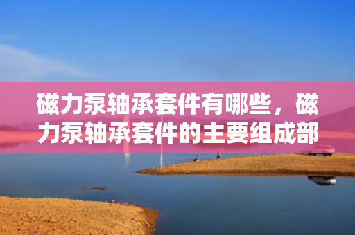 磁力泵轴承套件有哪些，磁力泵轴承套件的主要组成部件解析