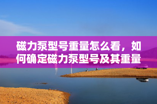 磁力泵型号重量怎么看，如何确定磁力泵型号及其重量——一份简洁的指南