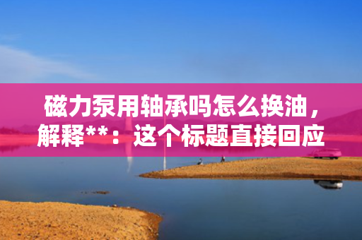磁力泵用轴承吗怎么换油，解释**：这个标题直接回应了内容中的两个核心问题——磁力泵是否使用轴承以及如何更换其油液。通过“指南”二字，标题传达了一种实用、指导性的语气，适合作为相关操作或教学材料的标题。
