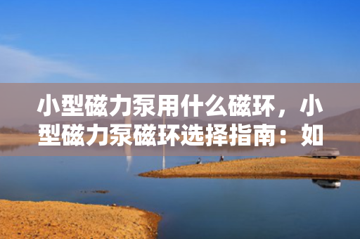 小型磁力泵用什么磁环，小型磁力泵磁环选择指南：如何为您的磁力泵挑选合适的磁环