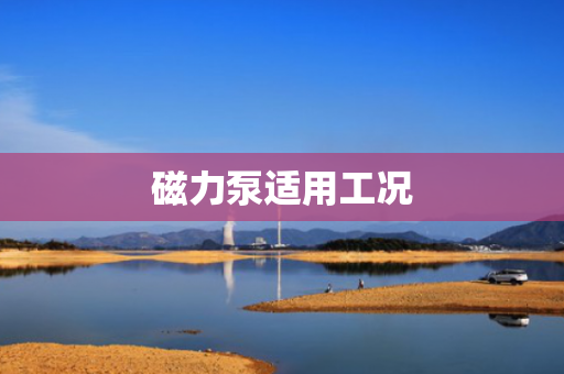 磁力泵适用工况