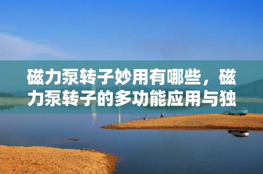 磁力泵转子妙用有哪些，磁力泵转子的多功能应用与独特优势
