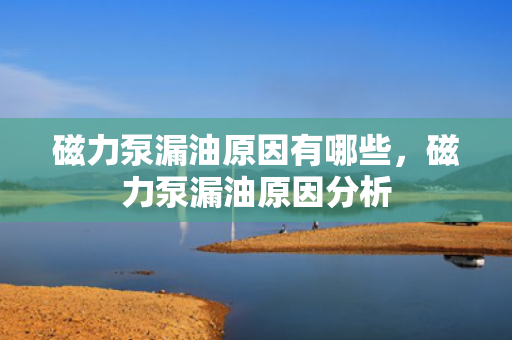 磁力泵漏油原因有哪些，磁力泵漏油原因分析