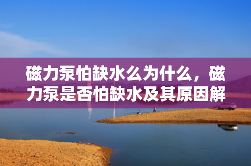 磁力泵怕缺水么为什么，磁力泵是否怕缺水及其原因解析