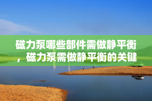 磁力泵哪些部件需做静平衡，磁力泵需做静平衡的关键部件概览