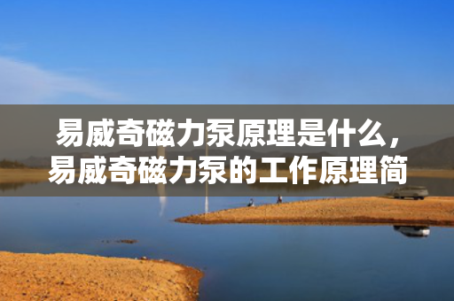 易威奇磁力泵原理是什么，易威奇磁力泵的工作原理简述
