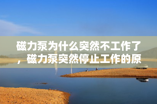 磁力泵为什么突然不工作了，磁力泵突然停止工作的原因及故障排除方法