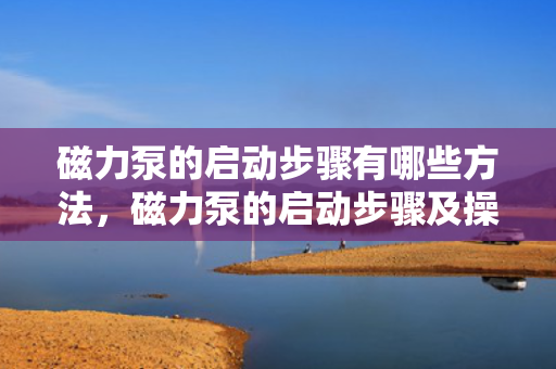 磁力泵的启动步骤有哪些方法，磁力泵的启动步骤及操作方法简介