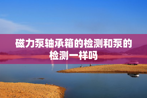磁力泵轴承箱的检测和泵的检测一样吗