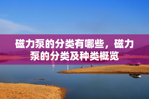 磁力泵的分类有哪些，磁力泵的分类及种类概览