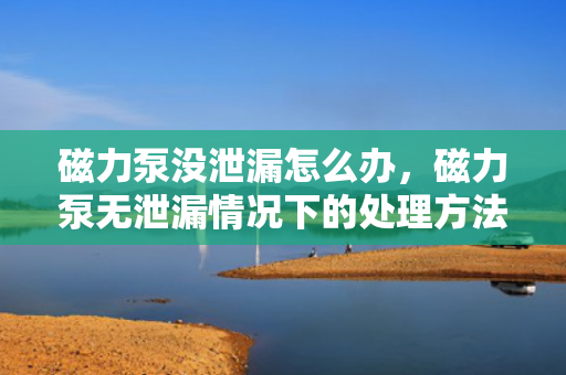 磁力泵没泄漏怎么办，磁力泵无泄漏情况下的处理方法或建议