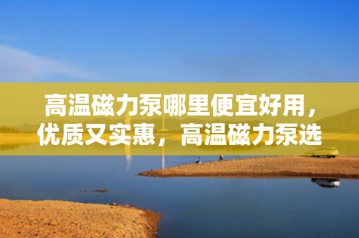 高温磁力泵哪里便宜好用，优质又实惠，高温磁力泵选购指南，助您找到性价比之选