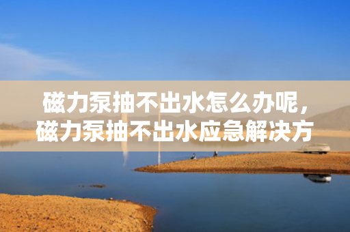 磁力泵抽不出水怎么办呢，磁力泵抽不出水应急解决方案