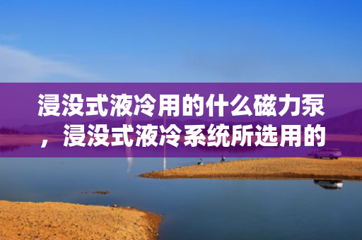浸没式液冷用的什么磁力泵，浸没式液冷系统所选用的关键设备：磁力泵的应用与特性