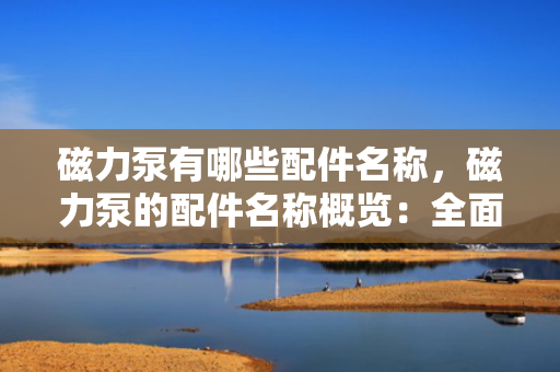 磁力泵有哪些配件名称，磁力泵的配件名称概览：全面了解磁力泵的关键组件