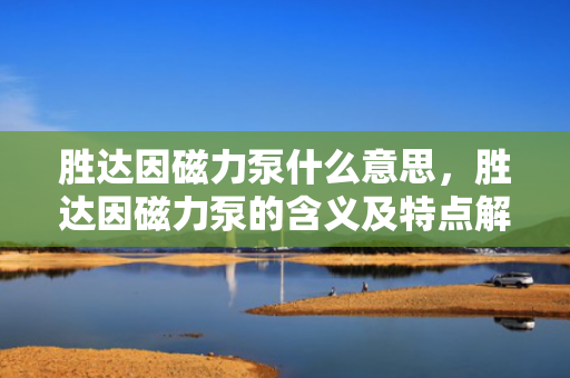 胜达因磁力泵什么意思，胜达因磁力泵的含义及特点解析